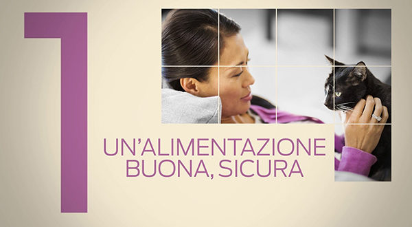 10 PRINCIPI